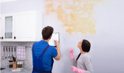 Identify Mold and Mildew in Your Home