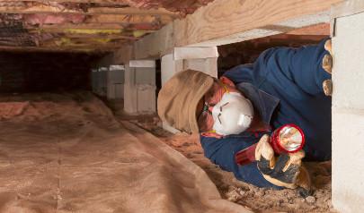 Why Is There Standing Water In My Crawlspace?