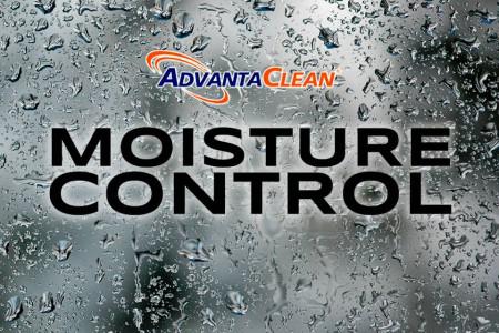 Managing Moisture Effectively: Strategies for Better Indoor Air Quality