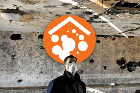 Mold and Allergies: Understanding the Connection