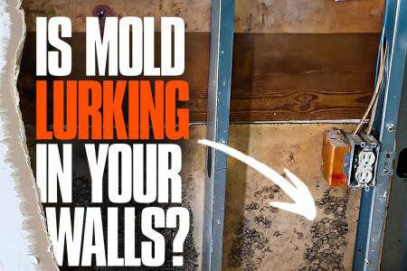 Understanding Mold and Respiratory Health: Signs, Effects, and Solutions