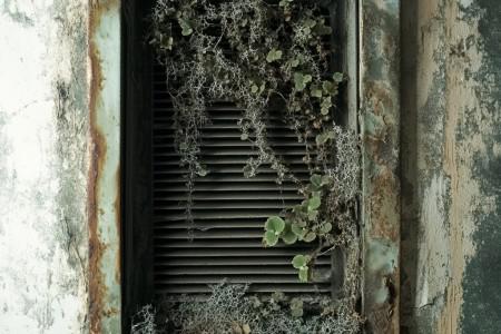 Mold Growth in HVAC Systems: Signs, Causes, and Solutions