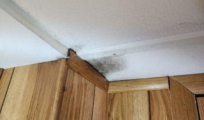 Preventing Mold Growth in Your Home: Tips and Tricks