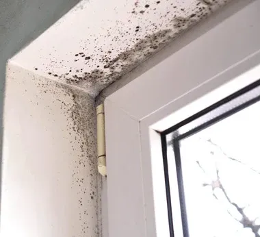 Mold growing above a window