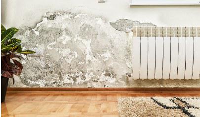 How Does Mold Get Into My House