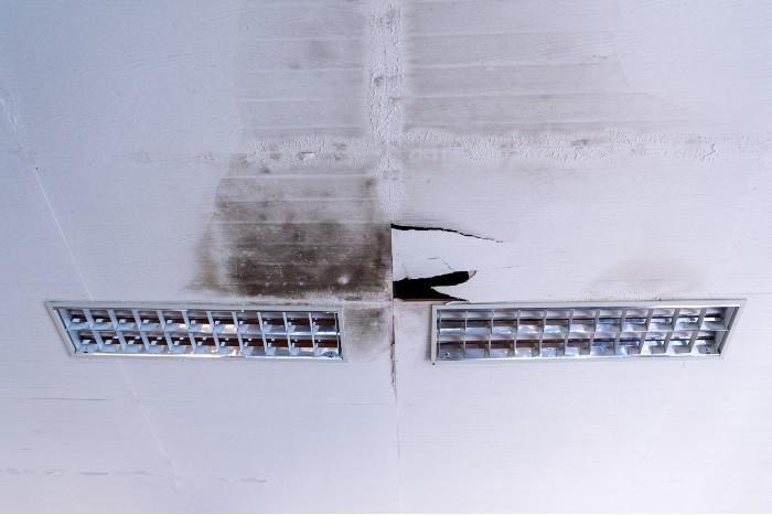 Mold-in-retail-19.jpg