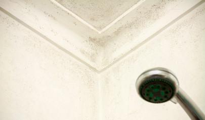 What are those black dots on your bathroom ceiling?