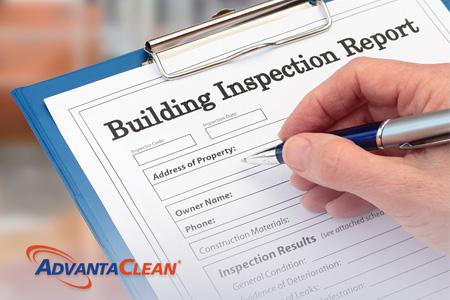Mold Inspection When Buying a House: Everything You Need to Know