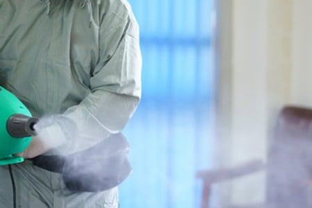 Mold Mitigation Near You: Expert Guide to Professional Services