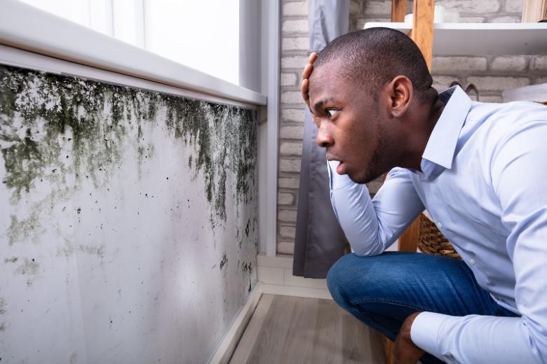 mold-on-wall.jpg