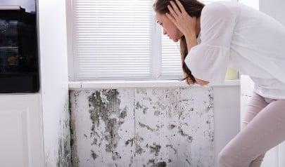 5 tips to prevent mold and mildew in your summer rental