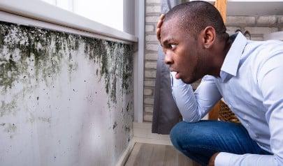 Why is mold worse in the Summer?