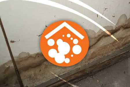 Mold Remediation and Asthma: Protecting Respiratory Health