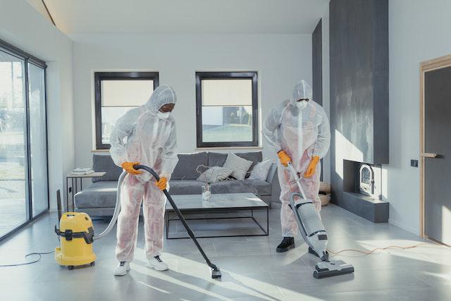 Mold Remediation 101: Everything You Need to Know