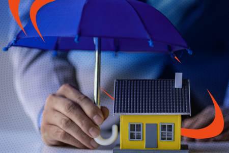 Mold Remediation for Home Sellers: Legalities, Permanent Solutions, and Buyer Trust
