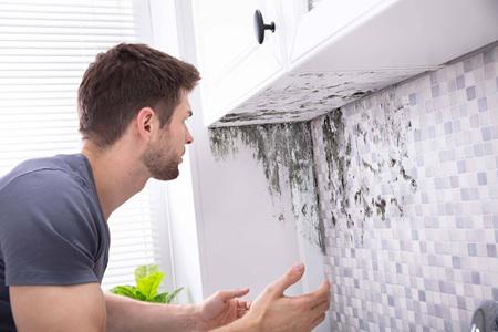 Mold Removal New Orleans: Detailed Overview of Our Mold Remediation Plan