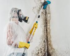 Mold Removal Hazmat SM