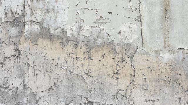 Mold removal vs mold remediation: what is the difference?