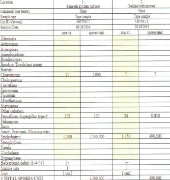Case Study Description
