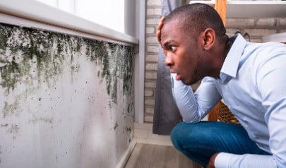 What is Water Mitigation?