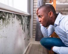 Black Mold in Your Johns Creek Home