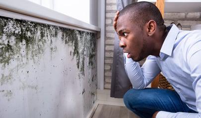 Five Common Mold and Mildew Myths You Should Know