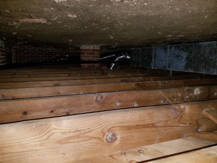 Mold_Removal_Crawl_Space_After_18[1].jpg