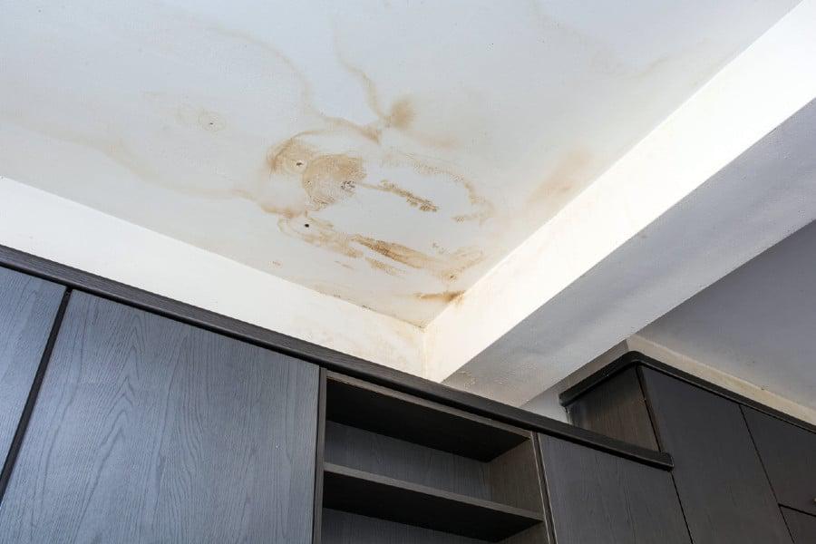 moldonceiling.jpg