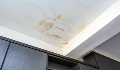 The Common Causes of Ceiling Water Damage