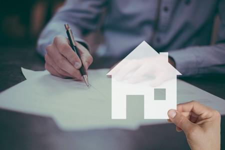 Does Home Insurance Cover Mold? Understanding Your Policy