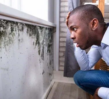 Man looking at mold on a wall