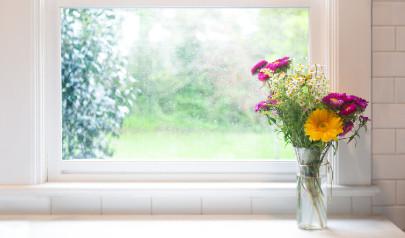 How to Wipe Out Window Mold for Good