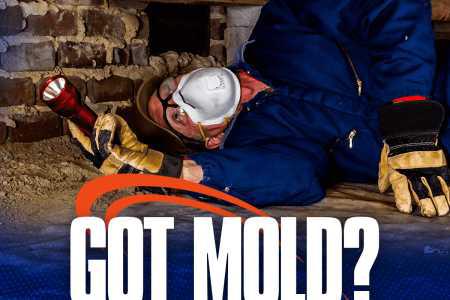 Preventing Mold Growth in High-Humidity Environments