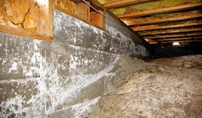 A crawl space with water leakage