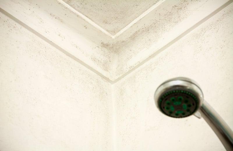 shower-head-mold.jpg