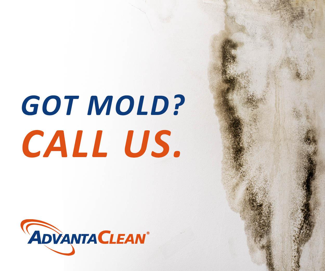 Returning Home After Mold Remediation: Factors to Consider and Timelines | AdvantaClean of Fort Lauderdale