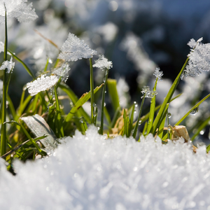 Even After The Snow Melts