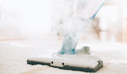 Vapor Steam Cleaning and Mold Allergy Relief