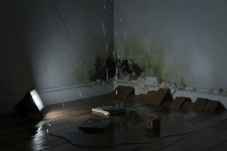 Water Damage in Your Home: What Gets Worse Every Hour You Wait