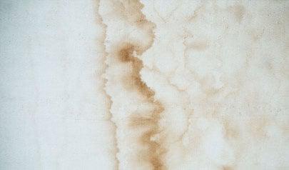 Mold Remediation Sandy Springs