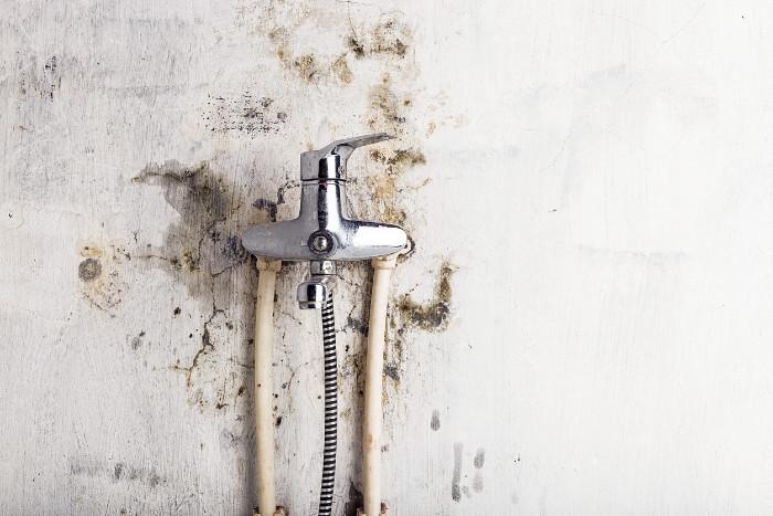 water-tap-with-fungal-mold(1).jpg