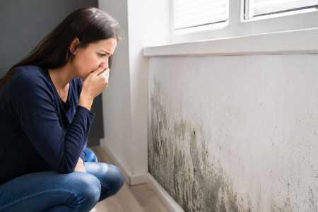 Signs of hidden mold in your home: smells, symptoms, and where to look
