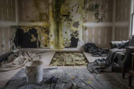 What happens if mold remediation is done incorrectly?