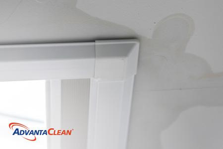 What is the most common leak in the bathroom? Causes, Impacts, and Solutions
