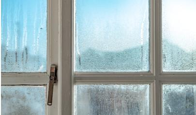 Control Your Indoor Humidity and Why It's Important