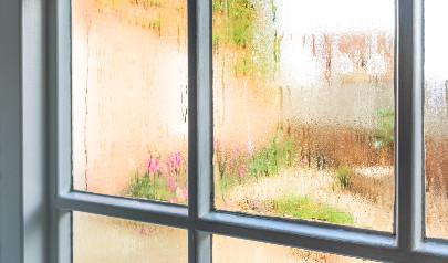 Top 3 Common Places for Moisture in Your Home