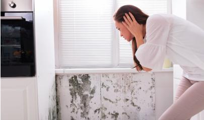 Is Mold covered by Insurance?
