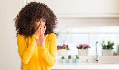 What's that smell? Dead mouse (or animal) smell in vents? Part II
