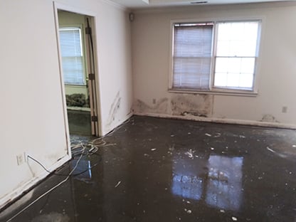 FloodedBasement1.jpg