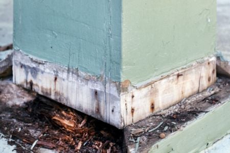 Water Damage Restoration That Lasts: Why Surface Repairs Aren't Enough for Your Kirkland Home